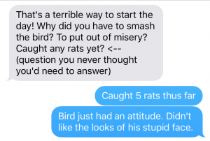 Bird text